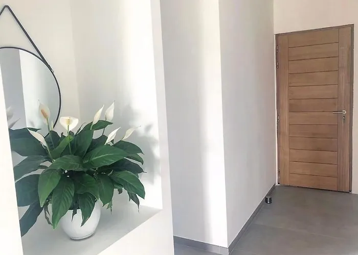 Maisondrs Porto Vecchio